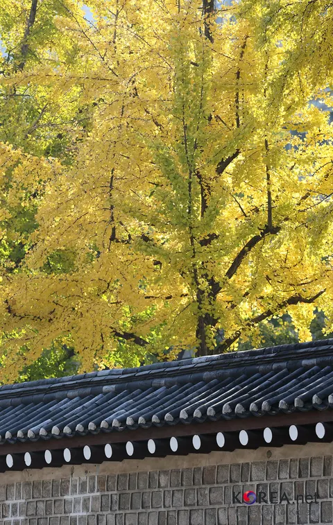 Korea October 03 (8124122156)